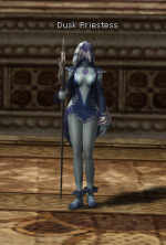 priest of dusk.png